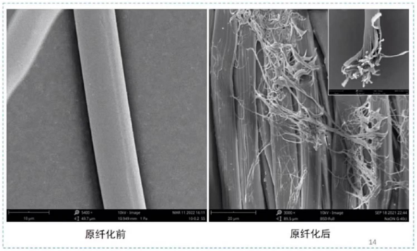 尊龙凯时·(中国游)官方网站